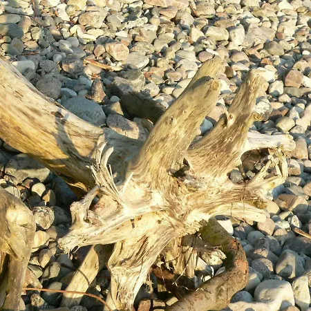 Nr_ 7 _ 8 * Binz